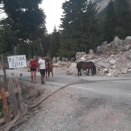 Bujtina 2 * Valbone